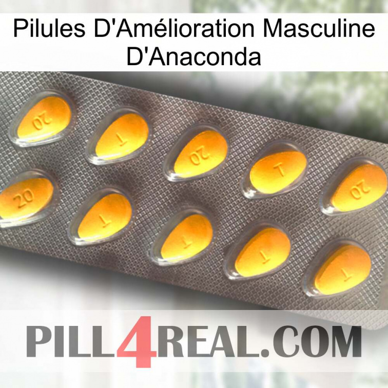 Anaconda Male Enhancement Pills cialis1